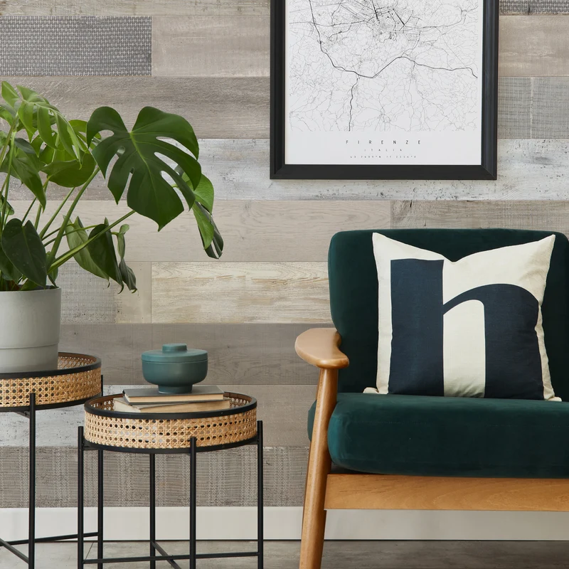 ACCENT Amazonia