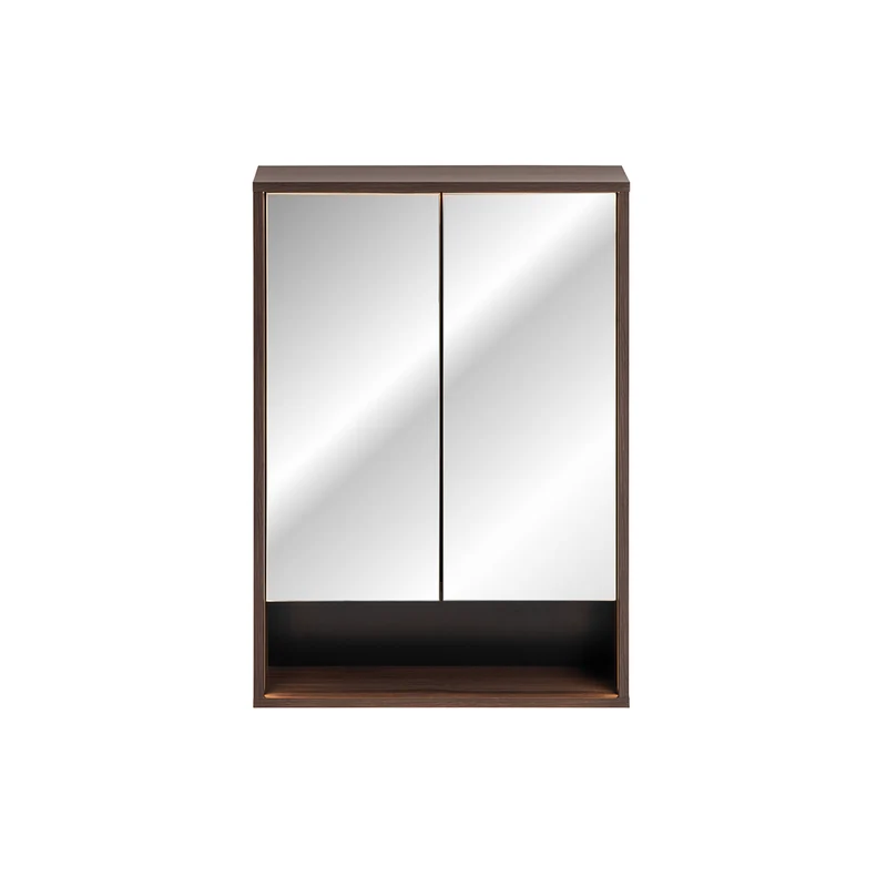 Miroir armoire murale 2 portes 60cm Moka Bois foncé