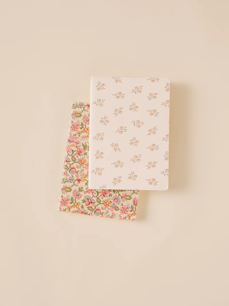 Lot de 2 carnets