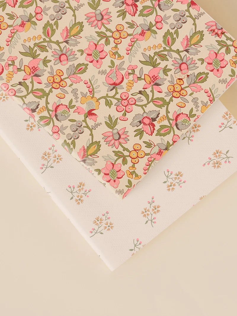 Lot de 2 carnets