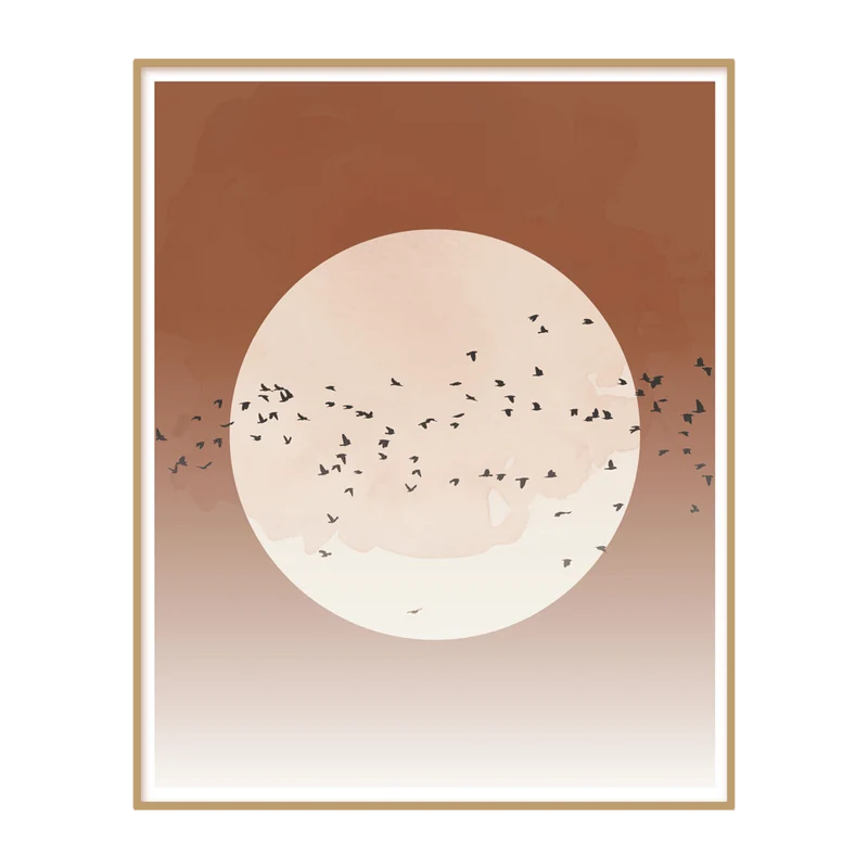 SOLEIL OISEAUX