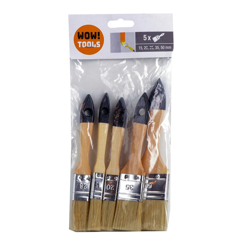 Lot de 5 pinceaux
