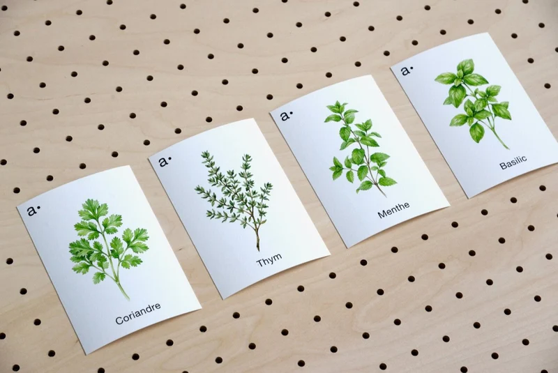 Cartes déco thématiques A6 pour pegboard – décoration murale