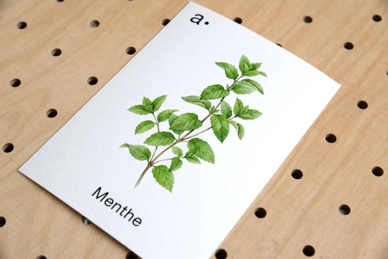 Cartes déco thématiques A6 pour pegboard – décoration murale
