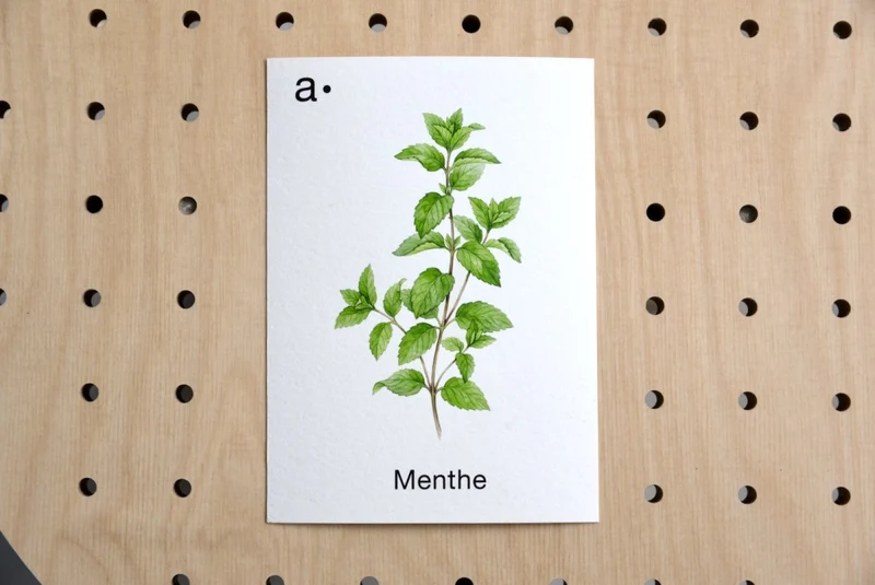 Cartes déco thématiques A6 pour pegboard – décoration murale