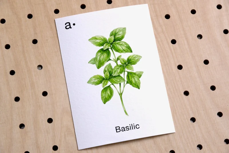 Cartes déco thématiques A6 pour pegboard – décoration murale