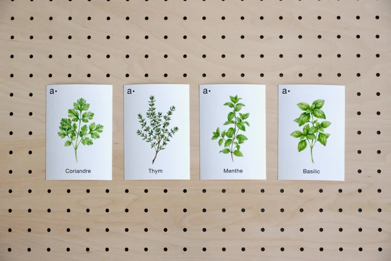Cartes déco thématiques A6 pour pegboard – décoration murale