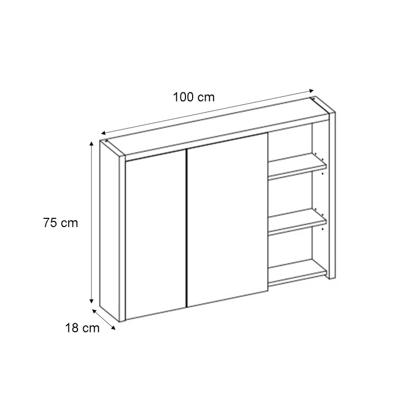 Miroir armoire murale 100 cm Rigel Bois et Anthracite