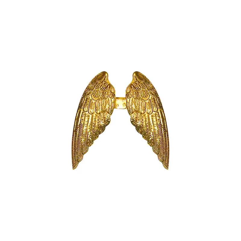 AILES