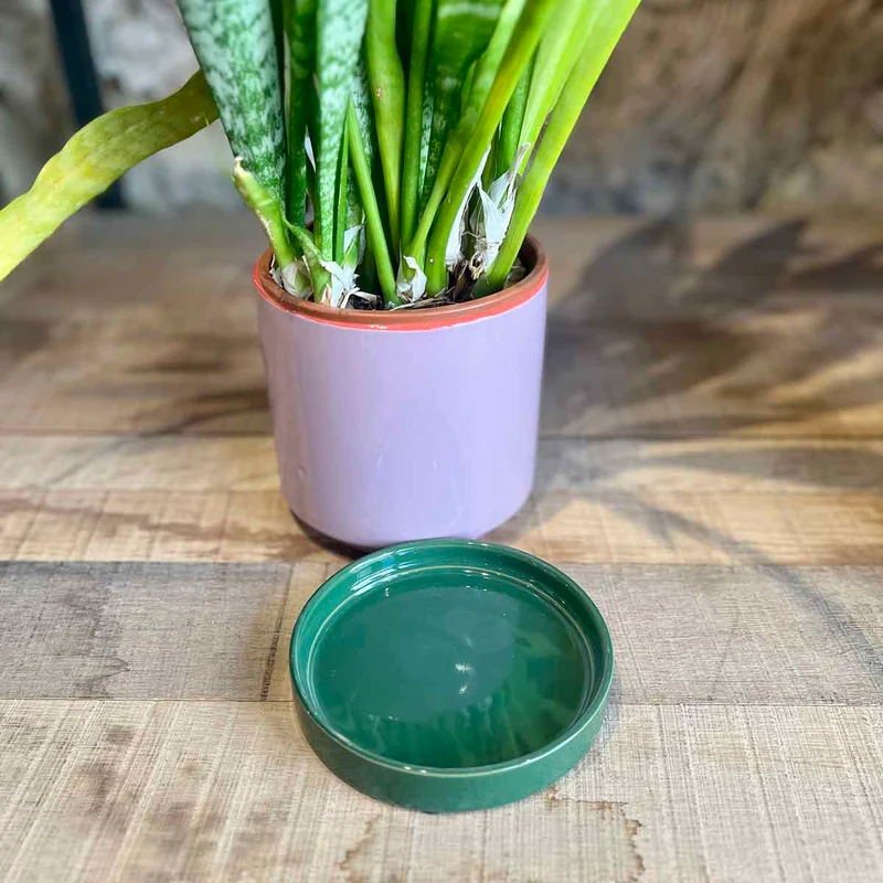 CACHE POT POP - VIOLET