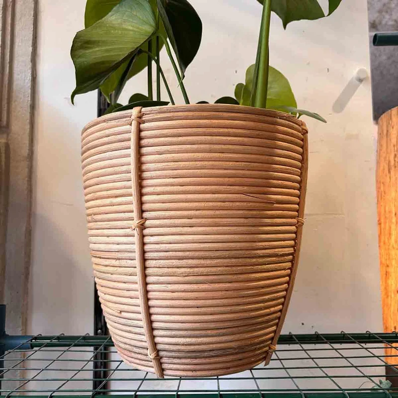 CACHE POT ROTIN