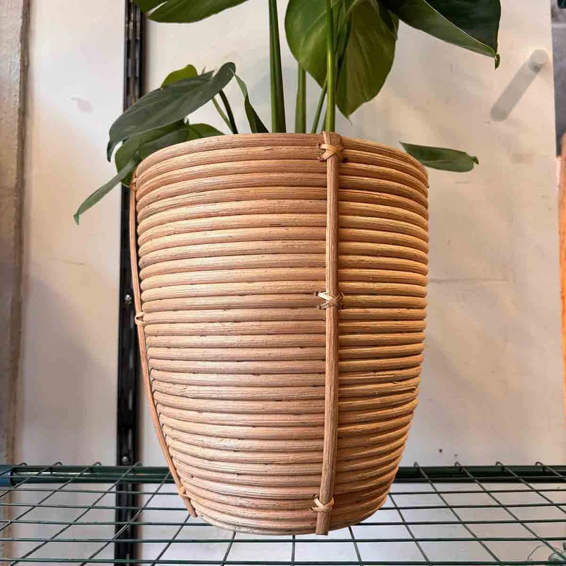 CACHE POT ROTIN