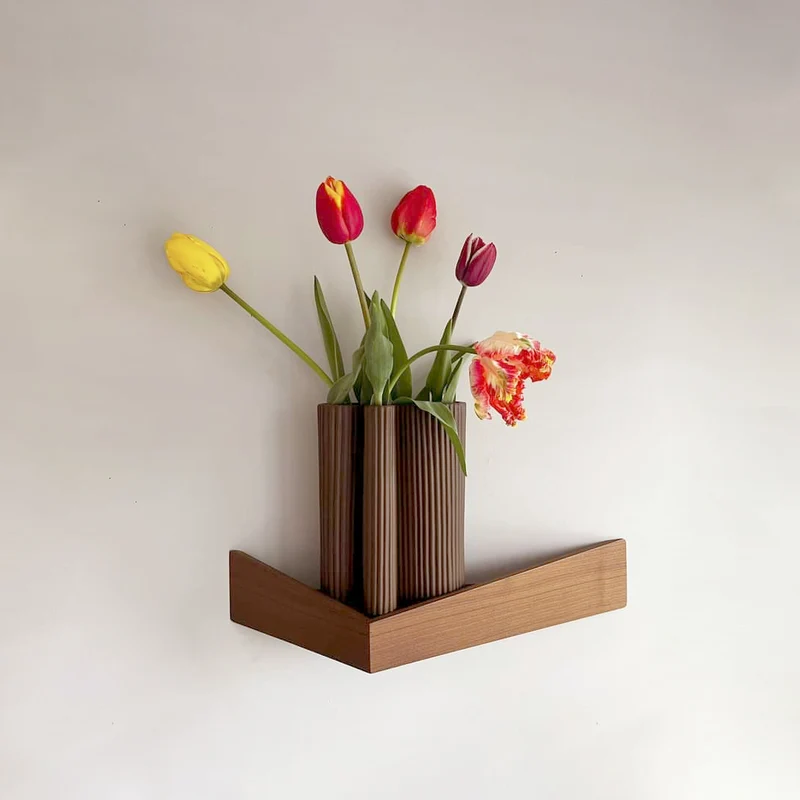 Pelican Wall Shelf with Hidden Hooks · Medium Walnut