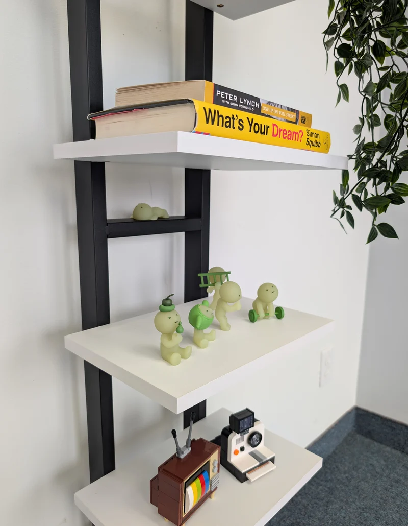 Zynix Modern 5-Tier Display Shelf - White & Black