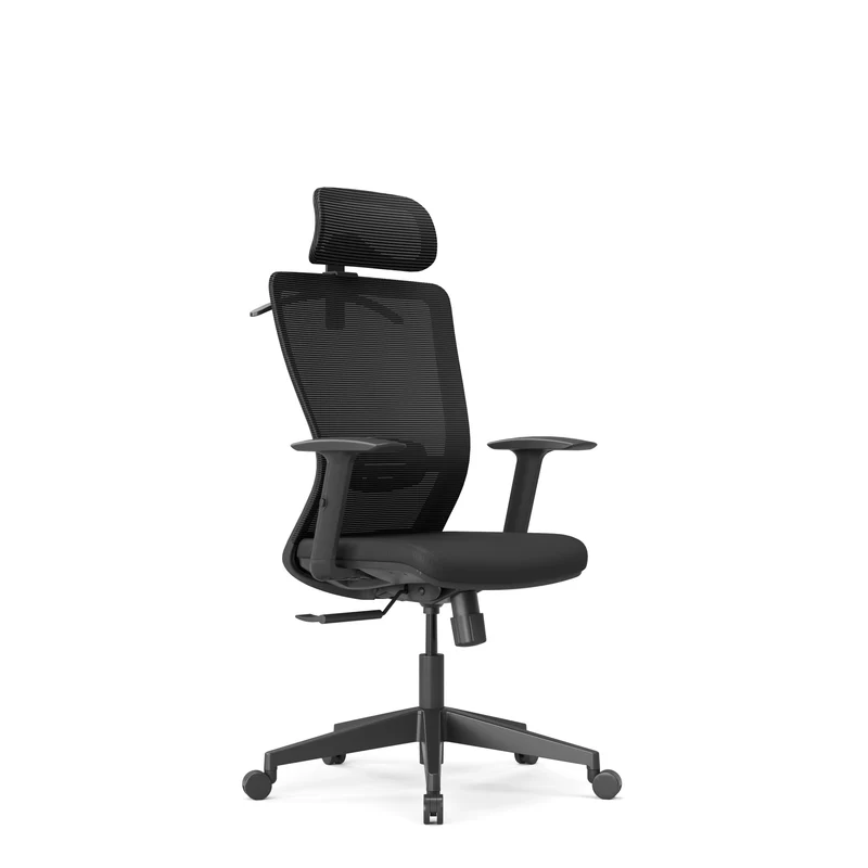 Zynix Mesh Office Chair, Adjustable Lumbar & Headrest