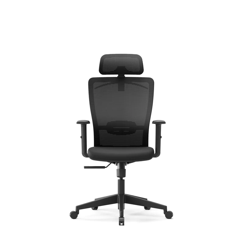 Zynix Mesh Office Chair, Adjustable Lumbar & Headrest