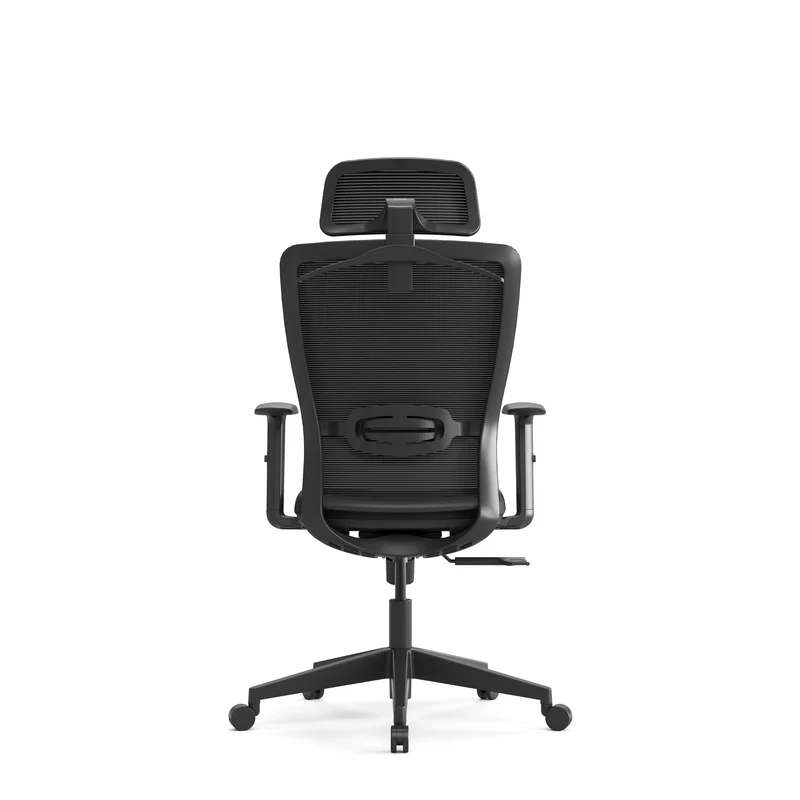 Zynix Mesh Office Chair, Adjustable Lumbar & Headrest