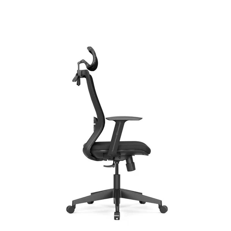 Zynix Mesh Office Chair, Adjustable Lumbar & Headrest