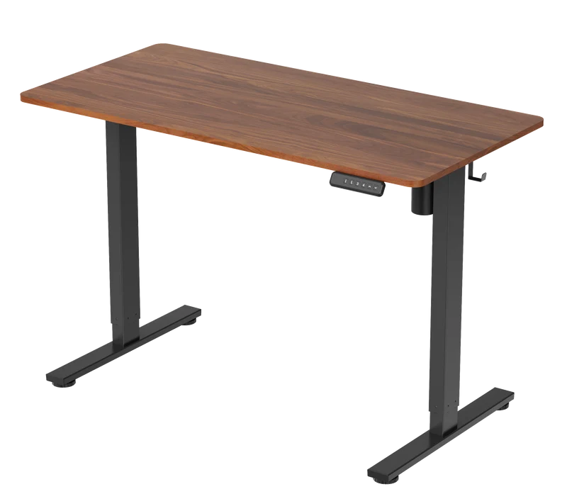 Zynix Electric Standing Desk | Height Adjustable 48” x 24”