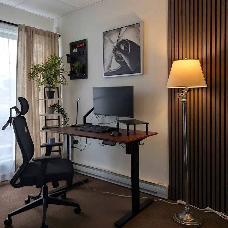 Zynix Electric Standing Desk | Height Adjustable 48” x 24”