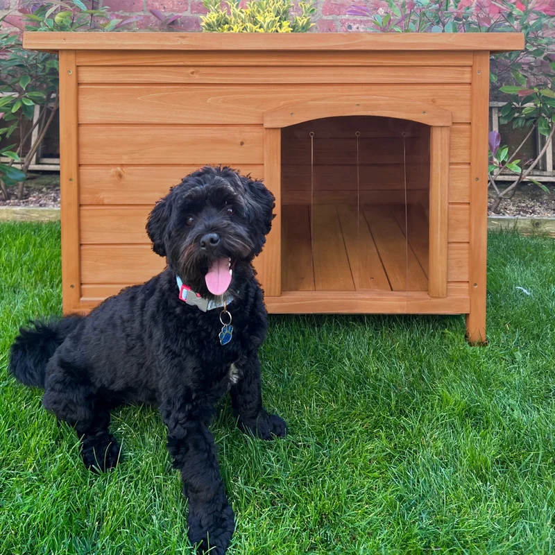 Niche pour Chien (Taille Petite)