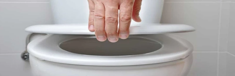 WC SEAT EASY WHITE D-SHAPE TOP FIX